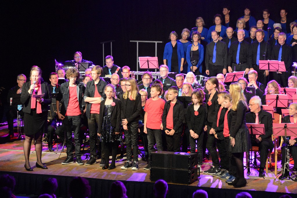 ../Images/Jubileumconcert 100 jaar Harpe Davids 278.jpg